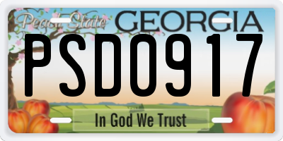 GA license plate PSD0917