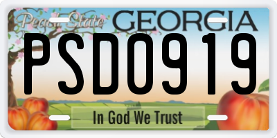 GA license plate PSD0919