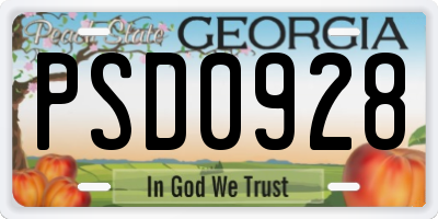GA license plate PSD0928