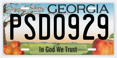 GA license plate PSD0929