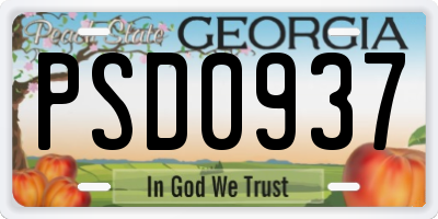 GA license plate PSD0937
