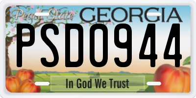 GA license plate PSD0944
