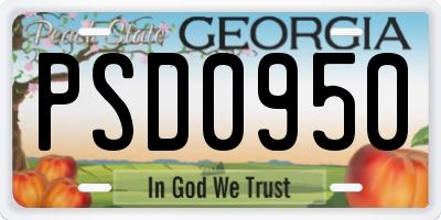 GA license plate PSD0950