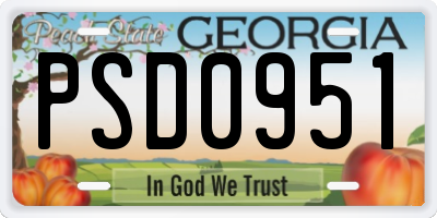 GA license plate PSD0951