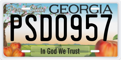 GA license plate PSD0957