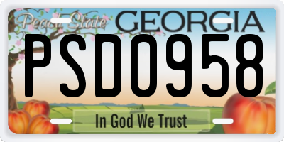 GA license plate PSD0958