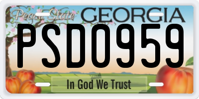 GA license plate PSD0959