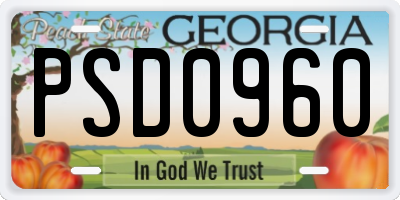 GA license plate PSD0960