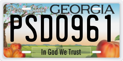 GA license plate PSD0961
