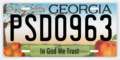 GA license plate PSD0963