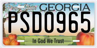 GA license plate PSD0965