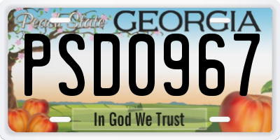 GA license plate PSD0967