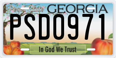 GA license plate PSD0971