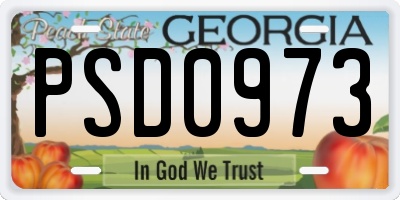 GA license plate PSD0973