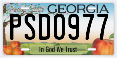 GA license plate PSD0977