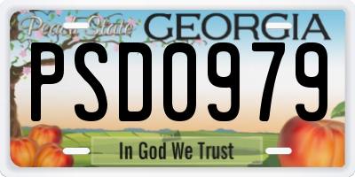 GA license plate PSD0979