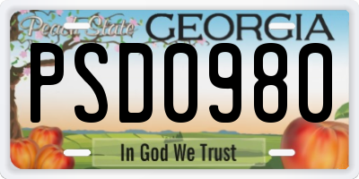 GA license plate PSD0980