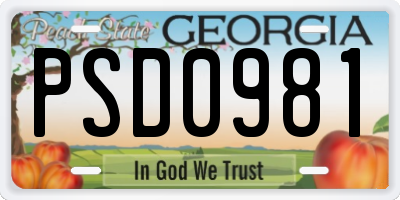 GA license plate PSD0981