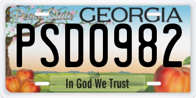 GA license plate PSD0982