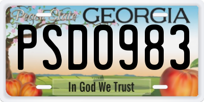 GA license plate PSD0983