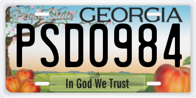 GA license plate PSD0984