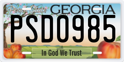 GA license plate PSD0985