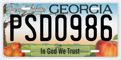 GA license plate PSD0986