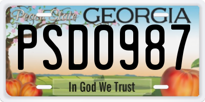 GA license plate PSD0987