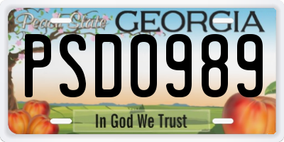 GA license plate PSD0989