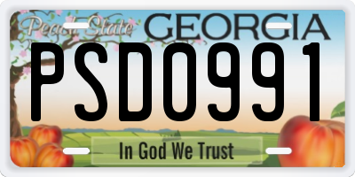 GA license plate PSD0991