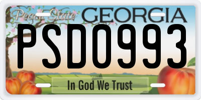 GA license plate PSD0993