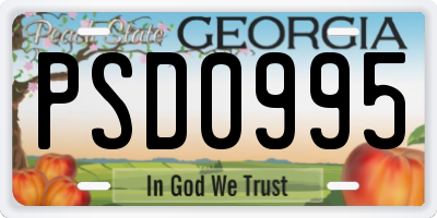 GA license plate PSD0995