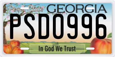 GA license plate PSD0996