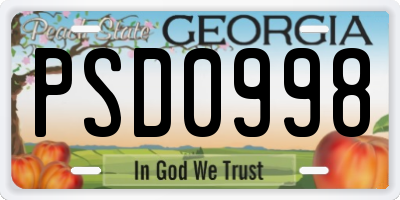 GA license plate PSD0998