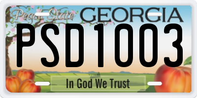 GA license plate PSD1003