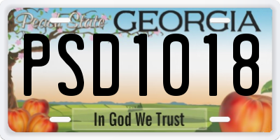 GA license plate PSD1018