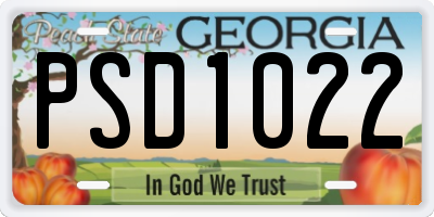 GA license plate PSD1022