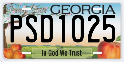 GA license plate PSD1025