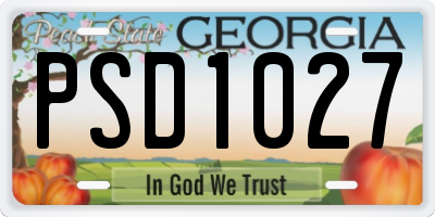 GA license plate PSD1027