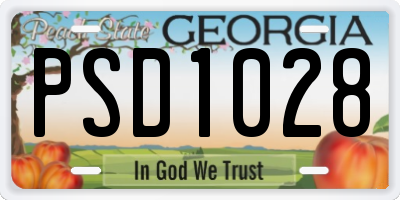 GA license plate PSD1028
