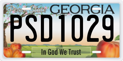 GA license plate PSD1029