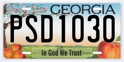GA license plate PSD1030
