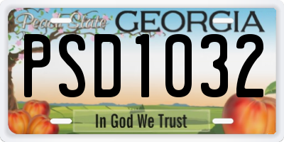 GA license plate PSD1032