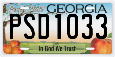 GA license plate PSD1033