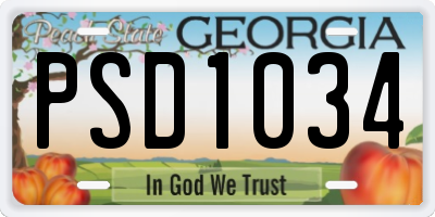 GA license plate PSD1034