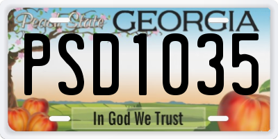 GA license plate PSD1035