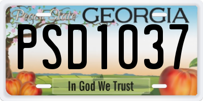 GA license plate PSD1037