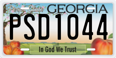 GA license plate PSD1044