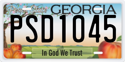GA license plate PSD1045