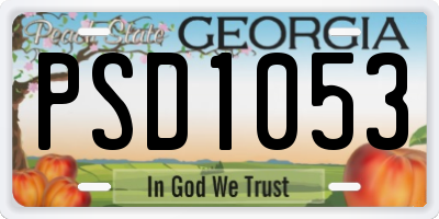 GA license plate PSD1053
